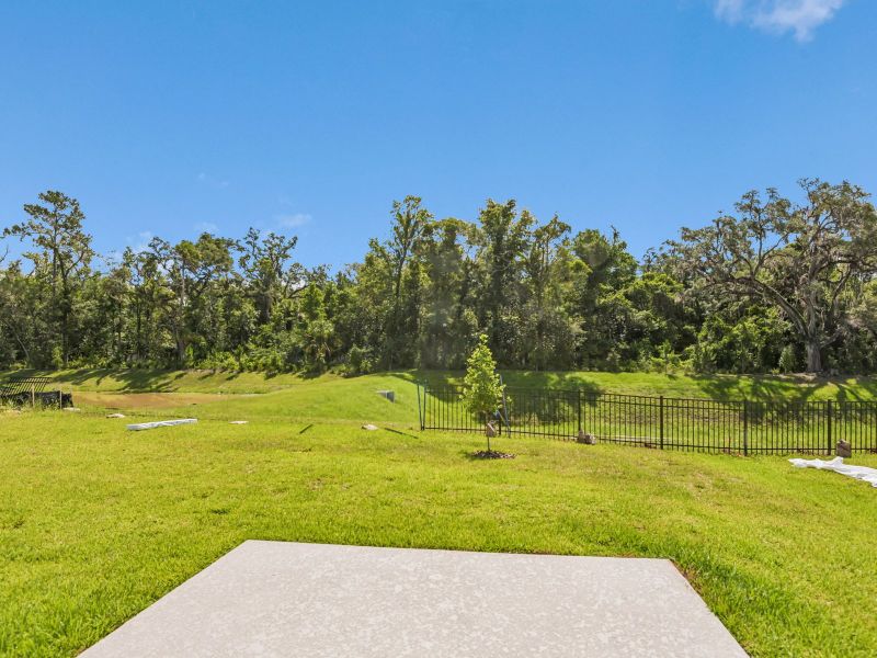 Natural landscape and outdoor views near Leyland Preserve - Classic Series in Brooksville (Image 19). Natural landscape and outdoor views near Leyland Preserve - Classic Series in Brooksville (Image 19).