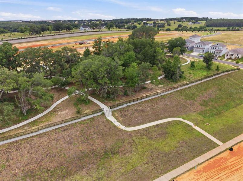Site preparation for new homesites in , Clermont (Image 41).