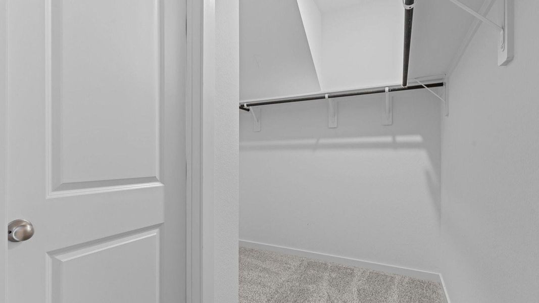 *Images and 3D tour are for illustration only and options may vary from home as built.