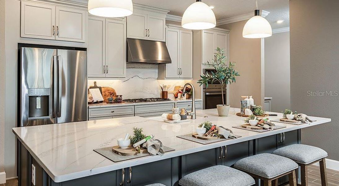 REPRESENTATIVE PHOTOS