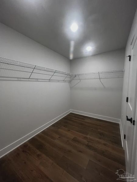 Spacious, unfurnished interior of a new home in Blossom Grove, Milton (Image 18).