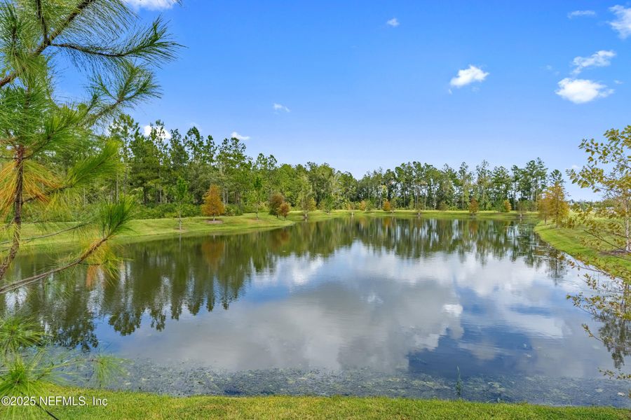 Natural landscape and outdoor views near Shearwater Townhomes in St. Augustine (Image 42).