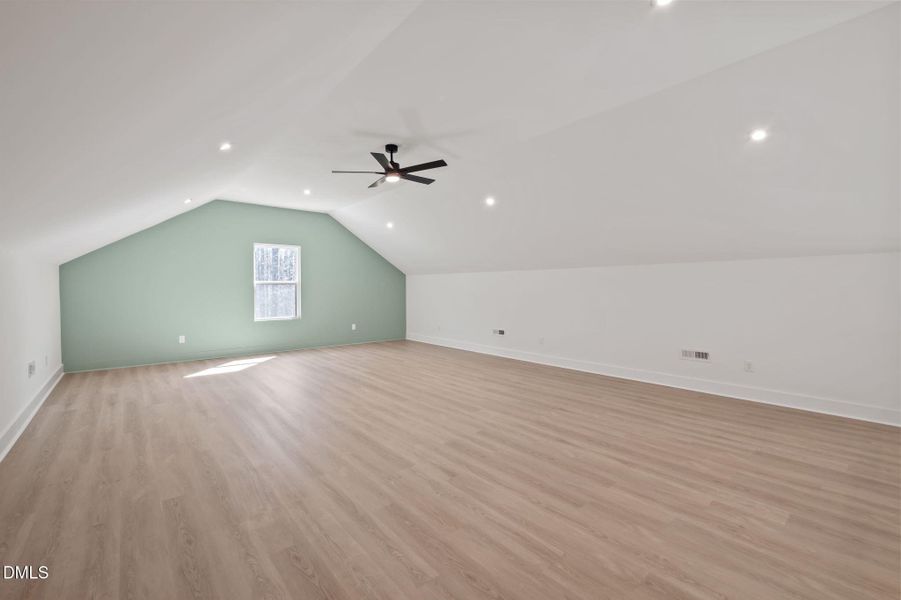 42-web-or-mls-P1112266