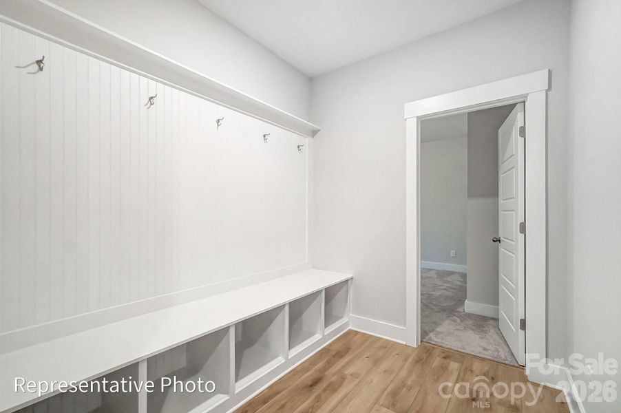 Representative photo