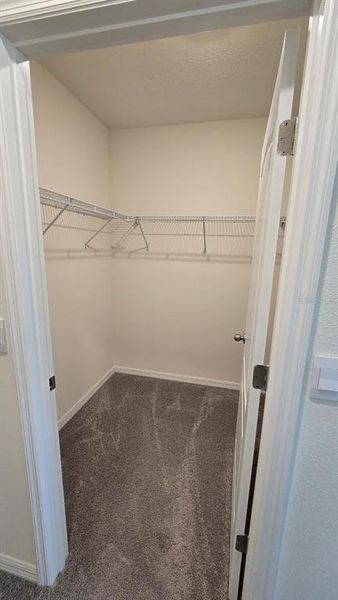 Spacious, unfurnished interior of a new home in , Lakeland (Image 19). Spacious, unfurnished interior of a new home in , Lakeland (Image 19).