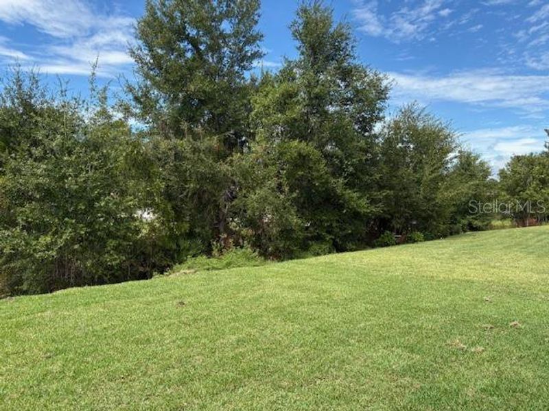 Natural landscape and outdoor views near Juliette Falls in Dunnellon (Image 10). Natural landscape and outdoor views near Juliette Falls in Dunnellon (Image 10).