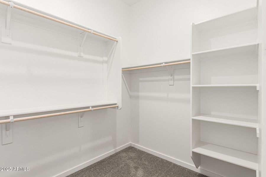 21-Hollyhock 21-Hollyhock