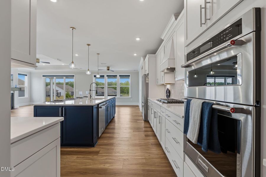 49-web-or-mls-DSC06627