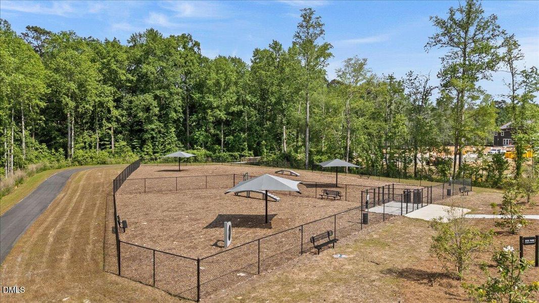 49-DJI_20250520155343_0187_D