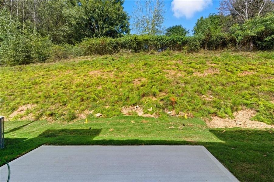 Natural landscape and outdoor views near Park Center Pointe in Austell (Image 37).