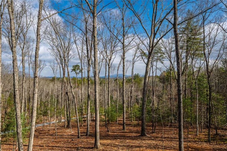 Natural landscape and outdoor views near  in Blue Ridge (Image 56).