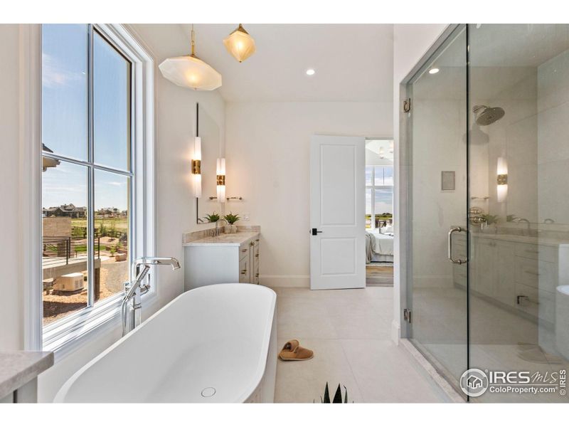 Primary Bath with steam shower