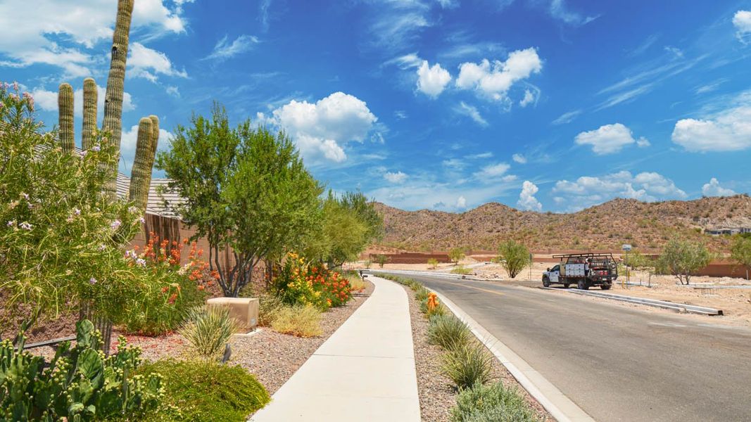 Community amenities associated with the Amherst by D.R. Horton in Aloravita, Peoria (Image 29).