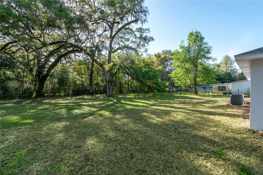 Natural landscape and outdoor views near  in Williston (Image 27).