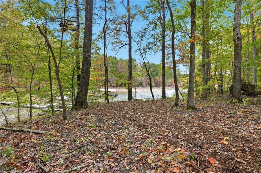 Natural landscape and outdoor views near  in Cumming (Image 51).