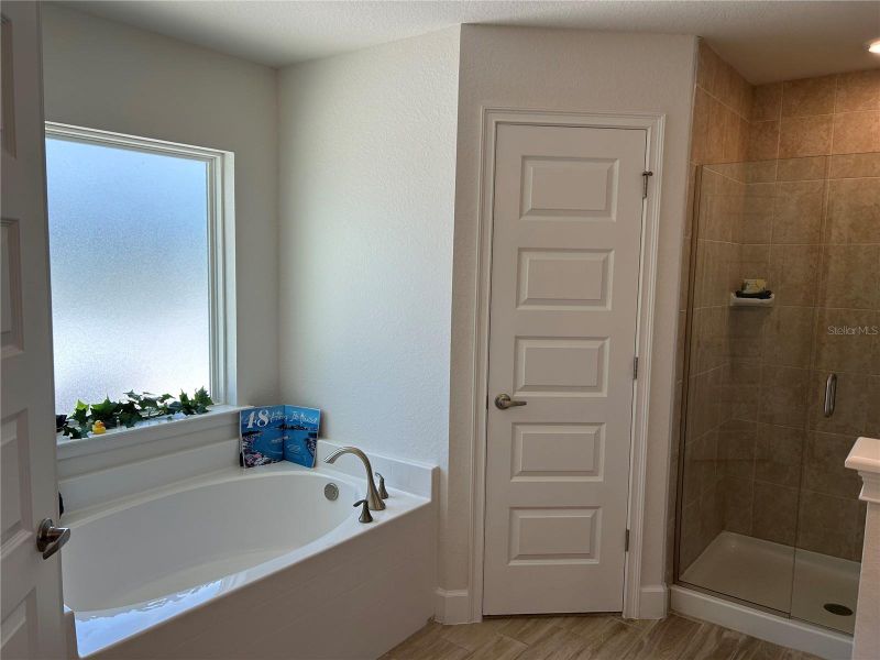 Furnished interior view inside a new home in Venice, Venice (Image 14).