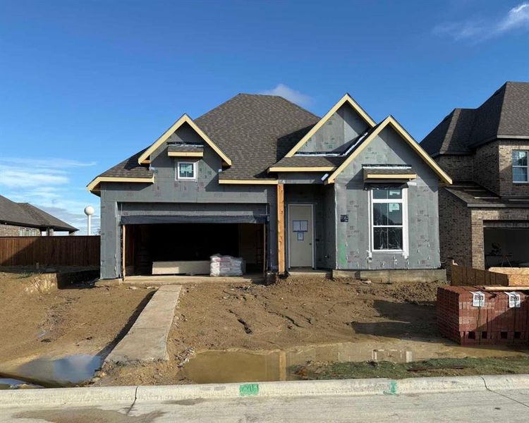 Exterior Design Construction Progress