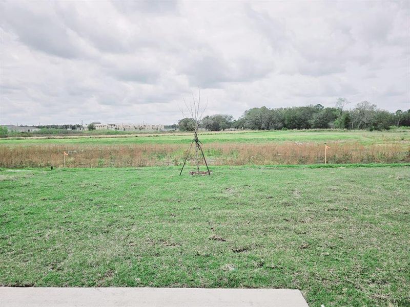 Natural landscape and outdoor views near Peace Creek Reserve in Winter Haven (Image 25).