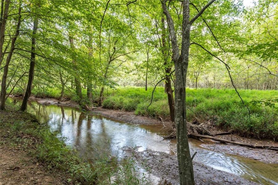 Natural landscape and outdoor views near in Alpharetta (Image 69). Natural landscape and outdoor views near in Alpharetta (Image 69).