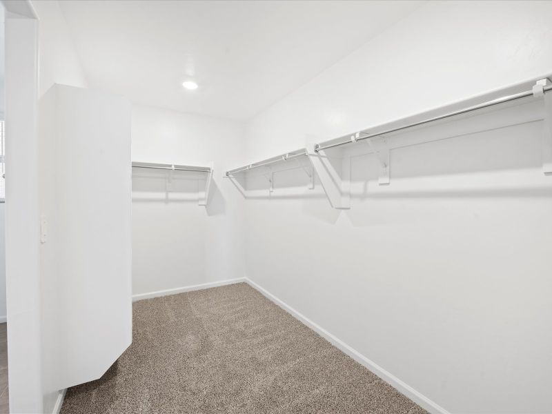 Welcome to the 2585 floorplan.