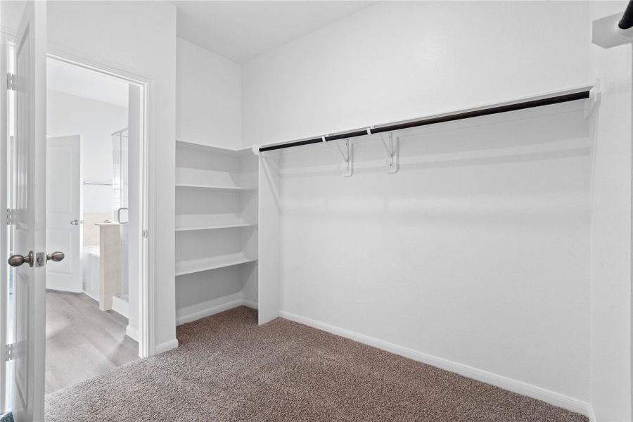 The primary suite features a generous walk-in closet equipped with functional hanging rods and shelving.