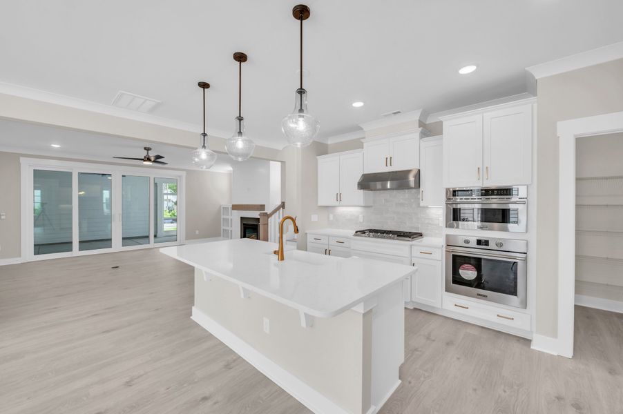 Representative furnished interior of a home built from the The Wisteria by RobuckHomes in East & Mason, Wilmington (Image 57).