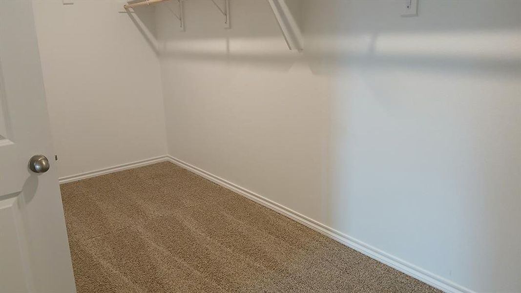 Walk-in closet featuring light-toned carpeting, white baseboards, and built-in shelving with a hanging rod Walk-in closet featuring light-toned carpeting, white baseboards, and built-in shelving with a hanging rod