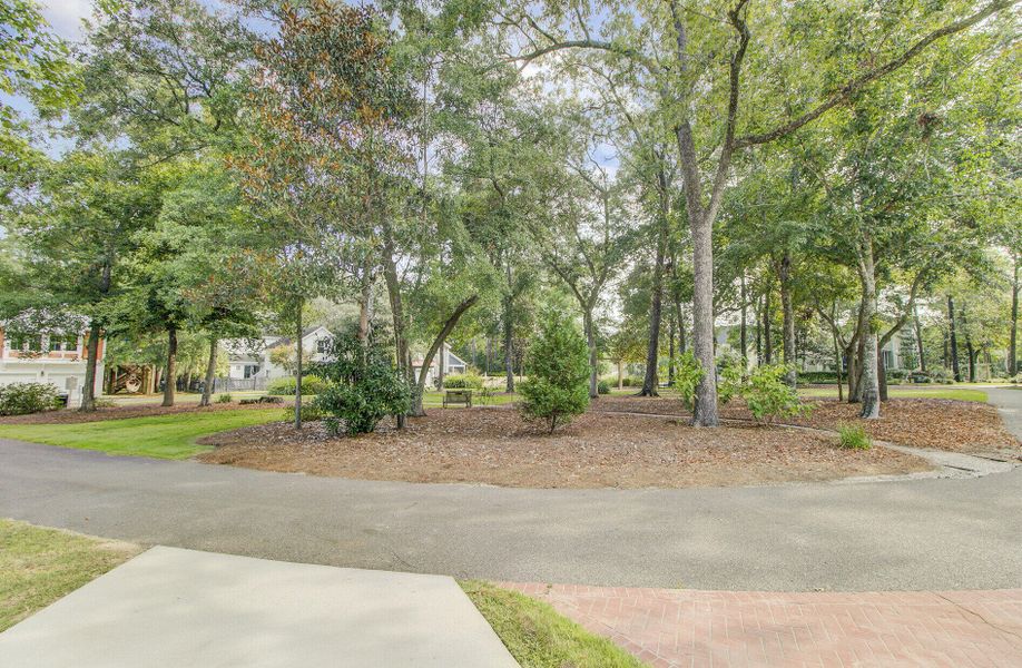 Natural landscape and outdoor views near  in Summerville (Image 36).