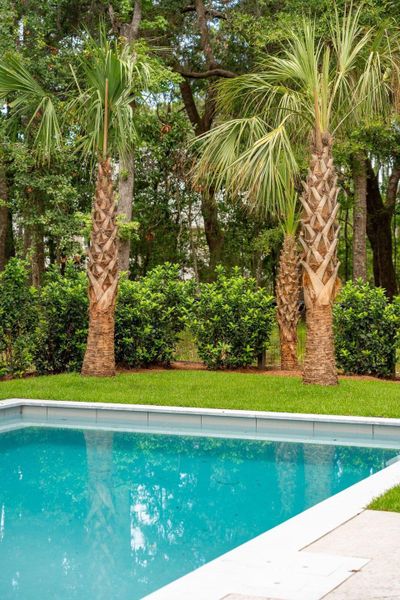 Exterior details and patio area of a home in , Johns Island (Image 4).