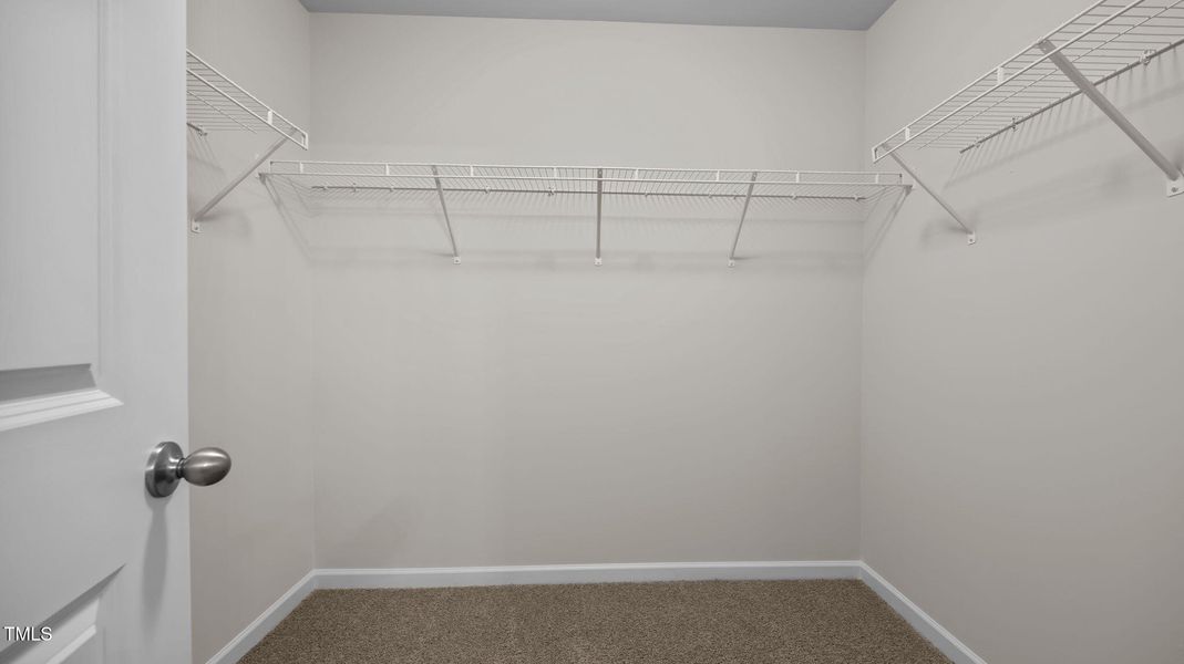 29-web-or-mls-IMG_3454