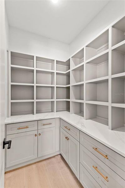 Walk-in pantry Walk-in pantry