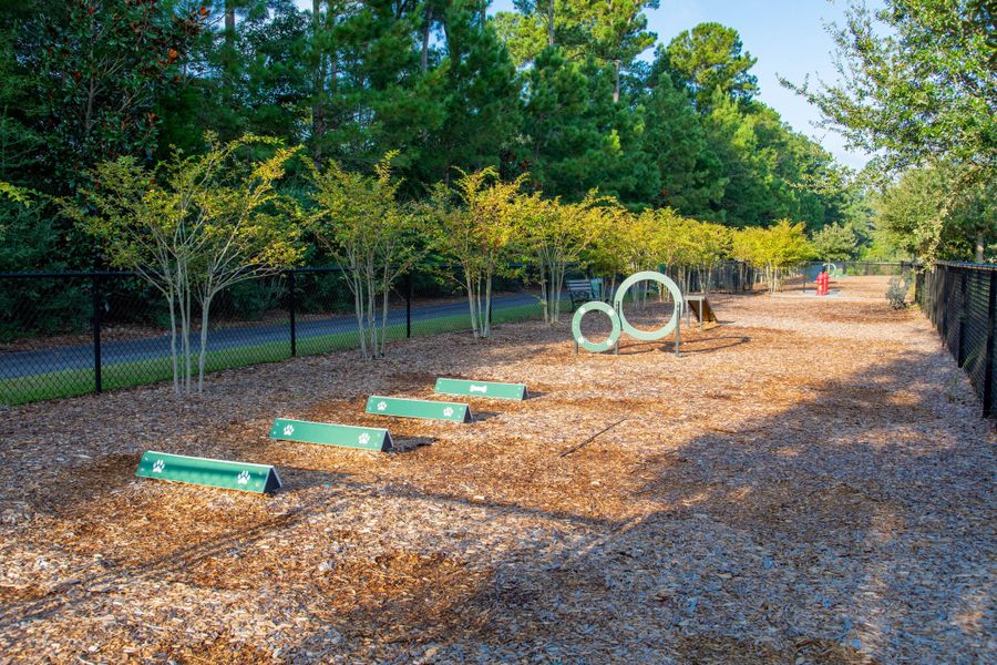 Community amenities in Carnes Crossroads, Summerville (Image 22).