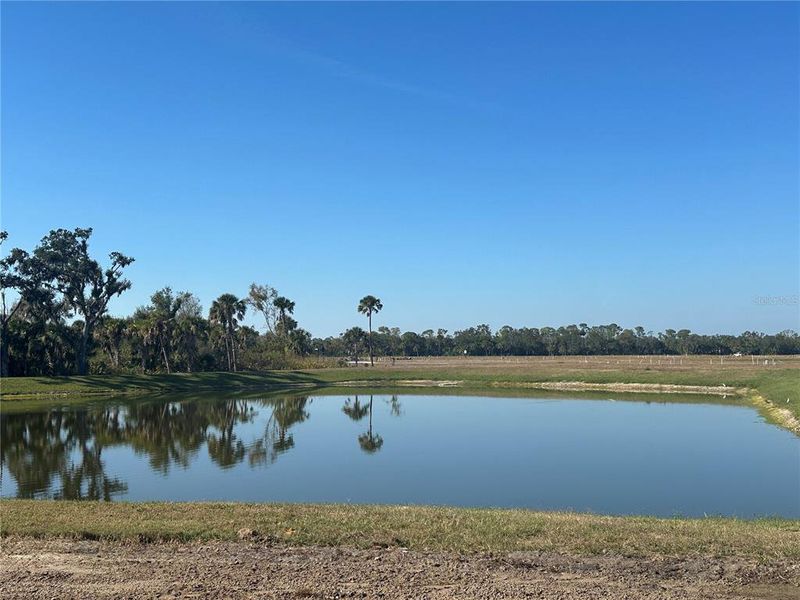 Natural landscape and outdoor views near Oakfield Trails Traditional in Parrish (Image 34).