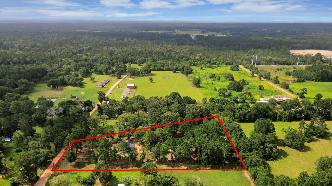 Natural landscape and outdoor views near  in Plantersville (Image 16).