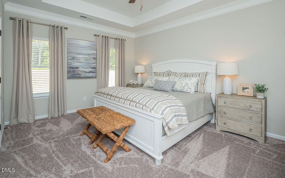 Representational Photo