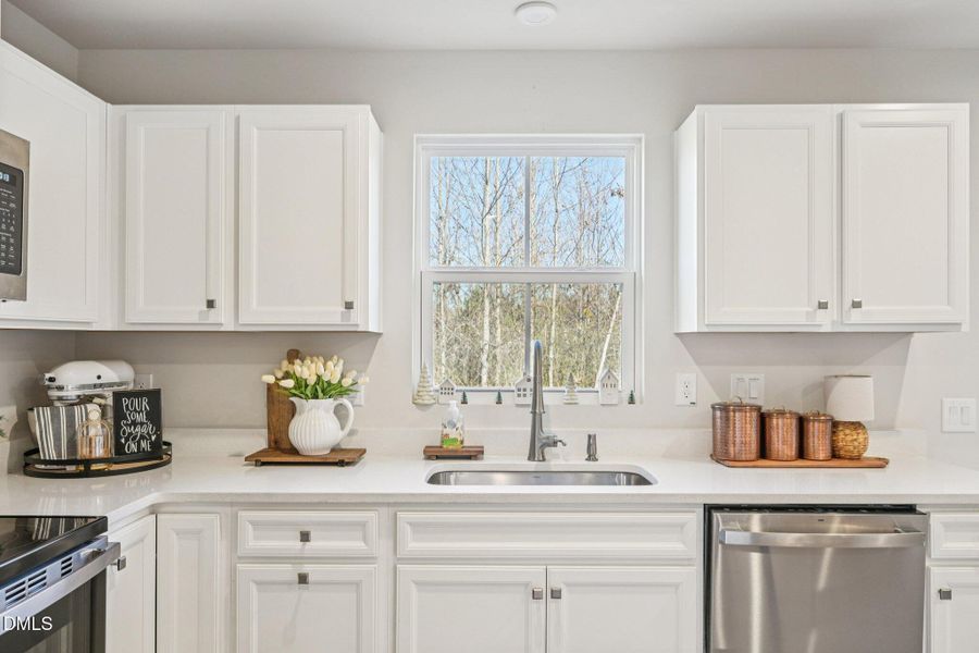 18-web-or-mls-matthiola-S1301-018