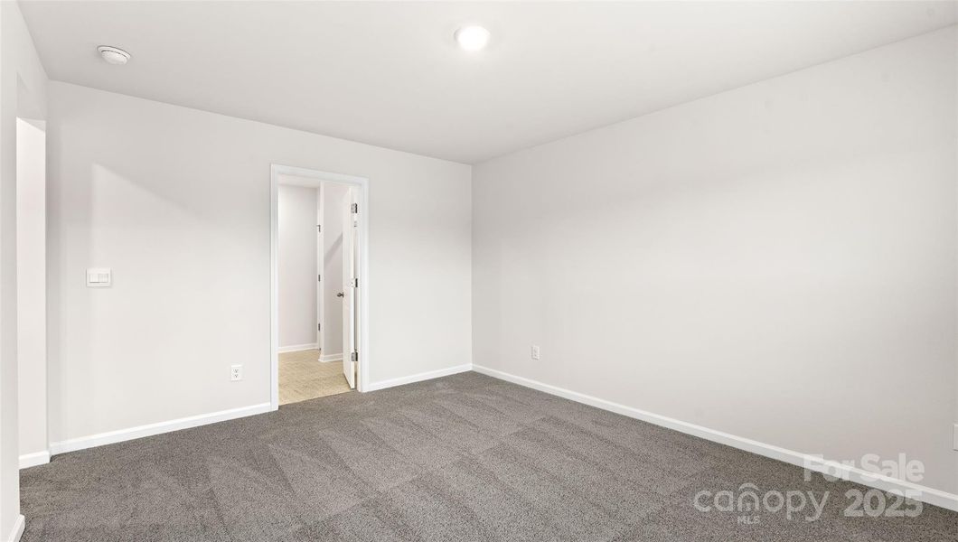 Photos are representative