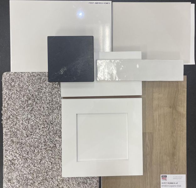 Final Interior Selections for 502 Tejas Village Pkwy Final Interior Selections for 502 Tejas Village Pkwy