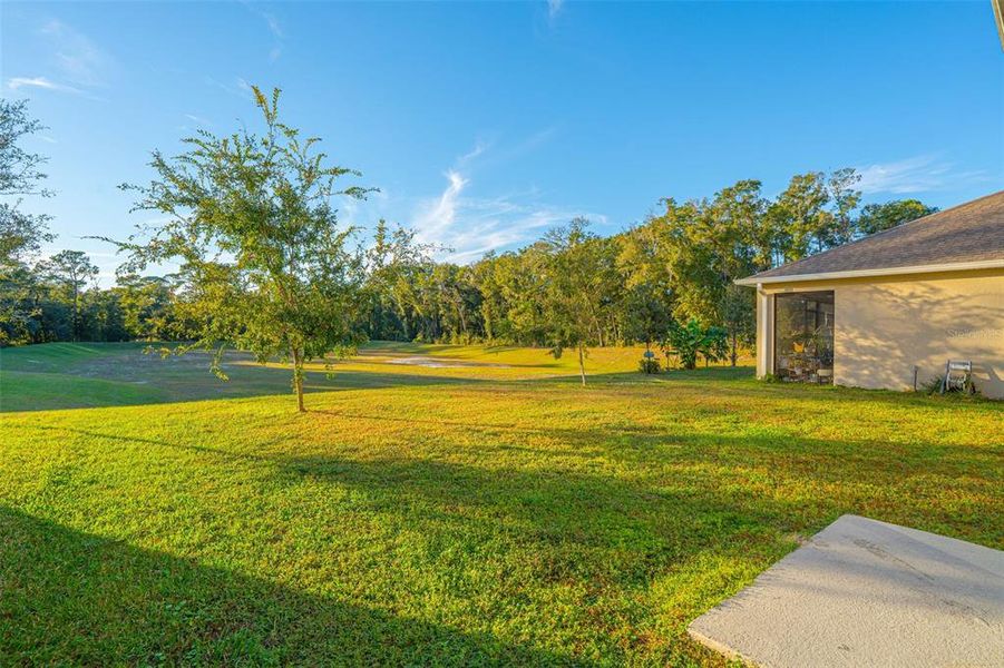 Image 30 of a home in Pelham Park.
