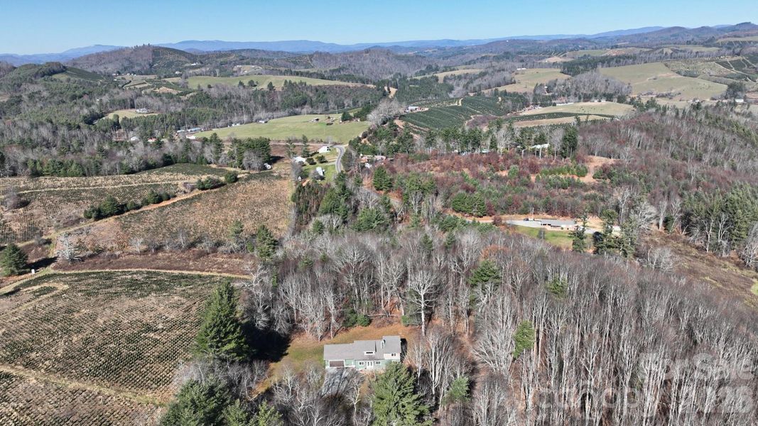 Natural landscape and outdoor views near  in Laurel Springs (Image 36).