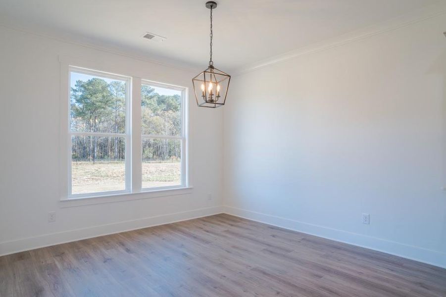 Spacious, unfurnished interior of a new home in , Good Hope (Image 41).