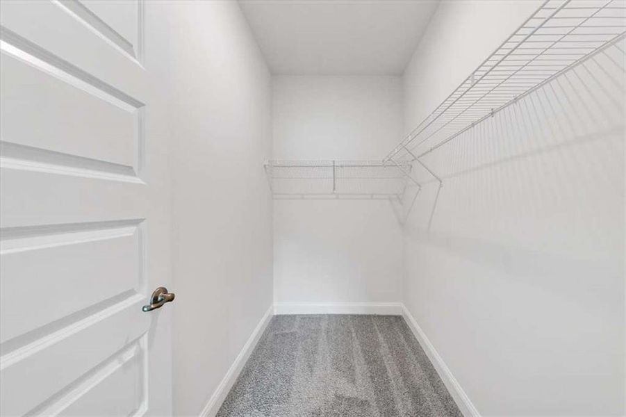 Spacious, unfurnished interior of a new home in Park Place, Bowdon (Image 18).