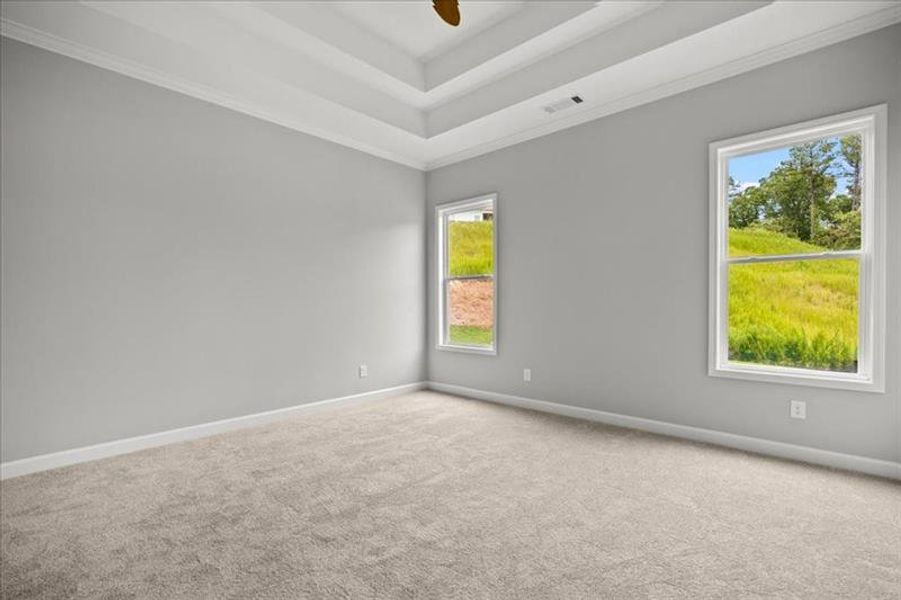 Spacious, unfurnished interior of a new home in Cooks Farm, Woodstock (Image 47).