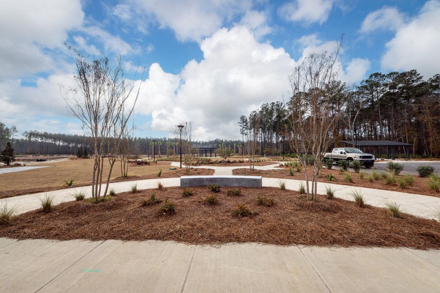 Site preparation for new homesites in Hammock Walk at Nexton, Summerville (Image 34).