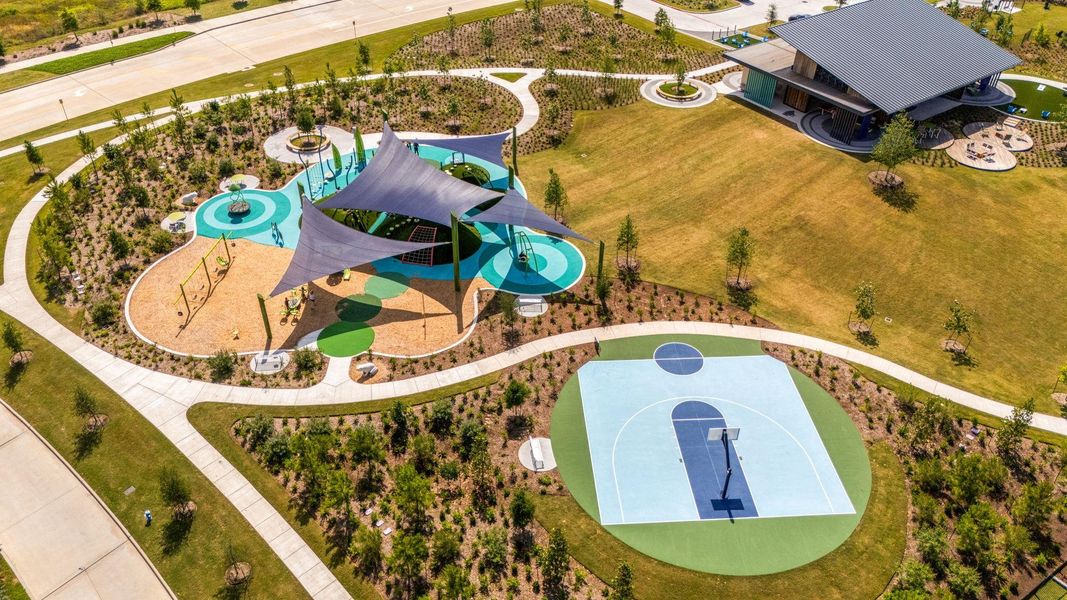 Lily pad park basketball courts