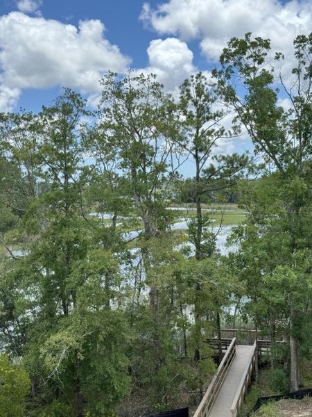 Image 12 of a home in Oak Bluff.