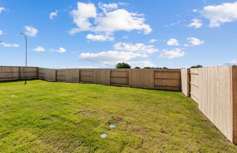 Backyard