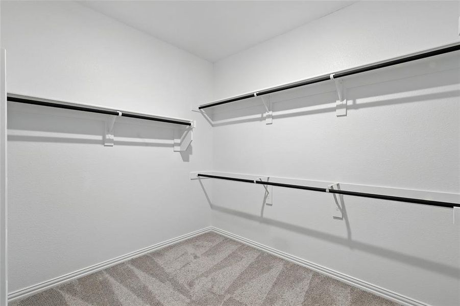 Walk in closet with carpet floors Walk in closet with carpet floors