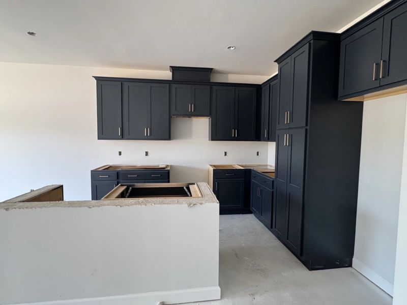 In-progress construction of a new home in Tea Farm, Ravenel, SC (Image 6).