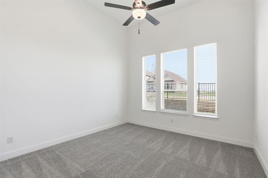 1008 Rainshower ~ Ready Now 1008 Rainshower ~ Ready Now